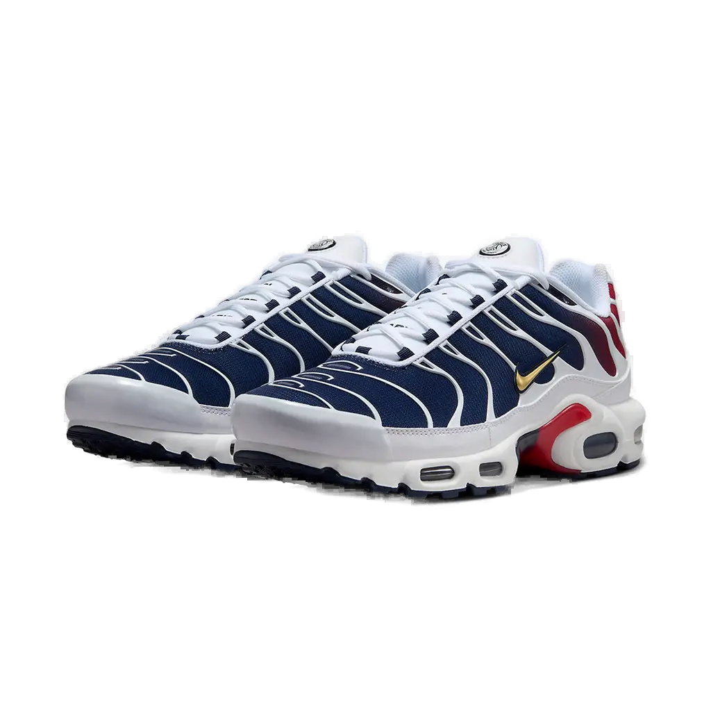 Nike Air Max Plus TN (PSG)
