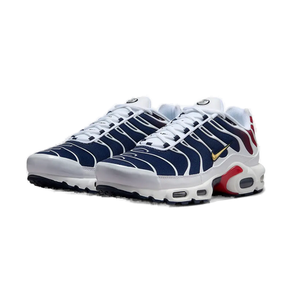 Nike Air Max Plus TN (PSG)