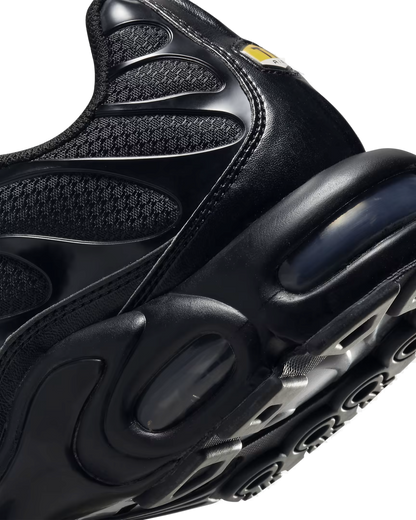 Nike Air Max Plus TN Black