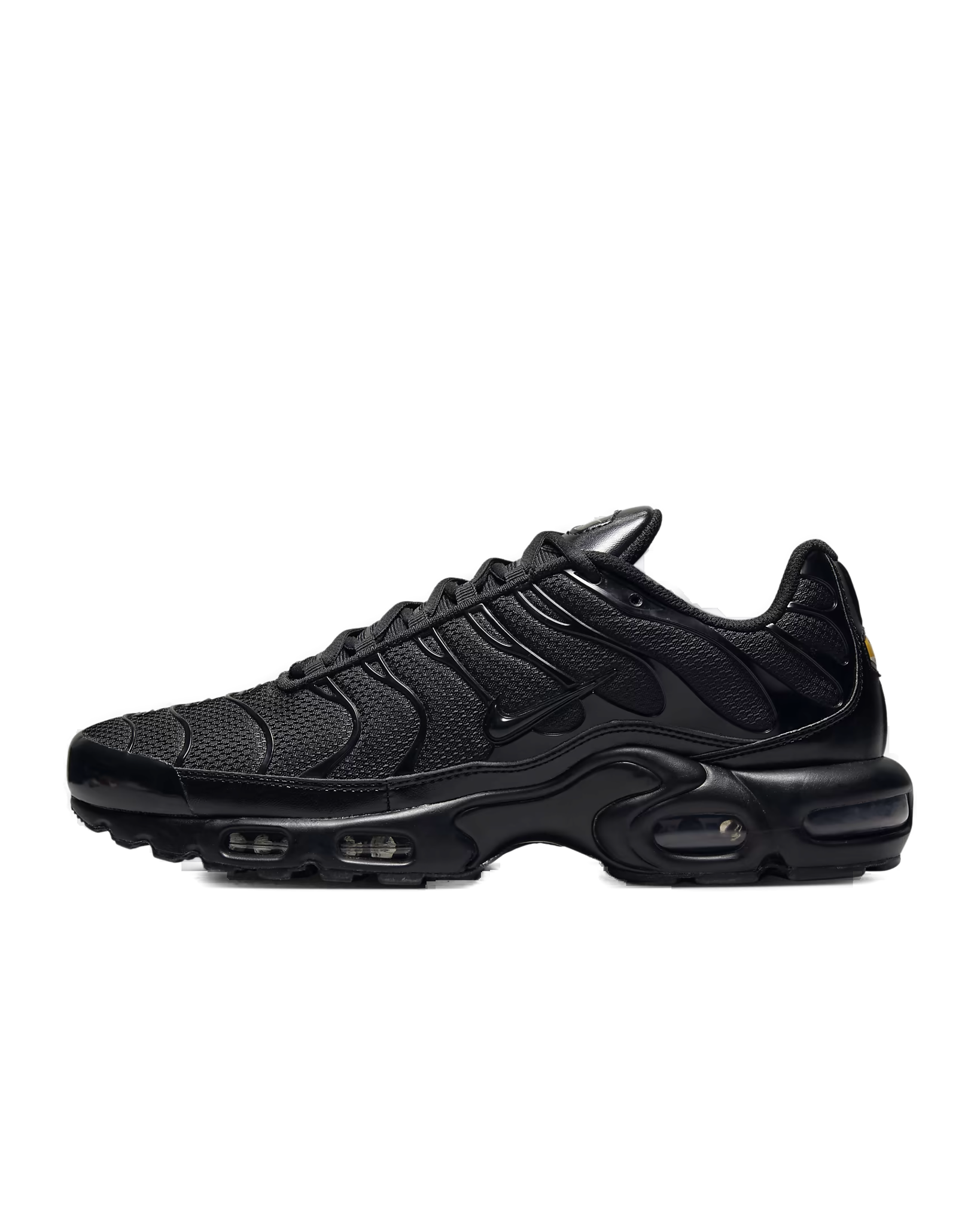 Nike Air Max Plus TN Black