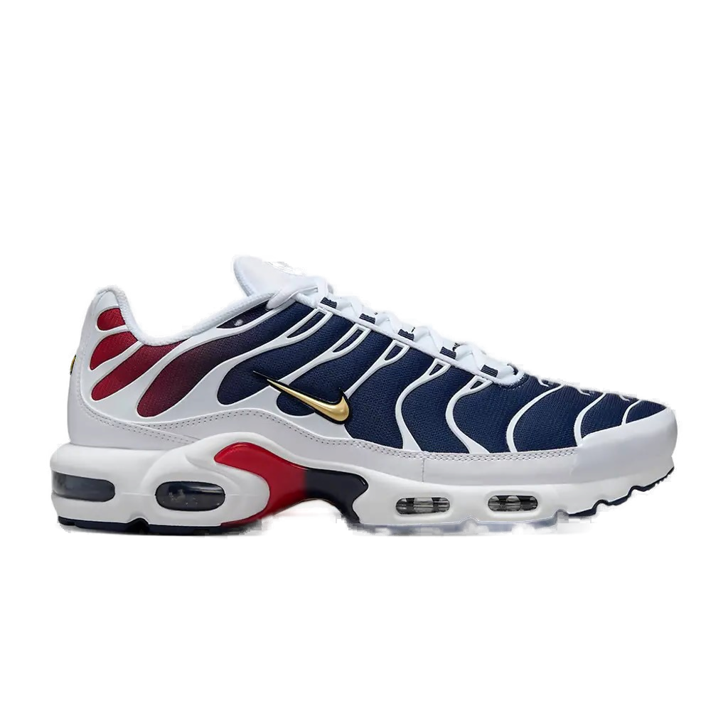 Nike Air Max Plus TN (PSG)