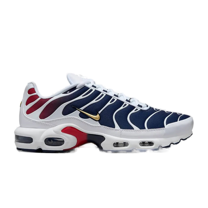 Nike Air Max Plus TN (PSG)