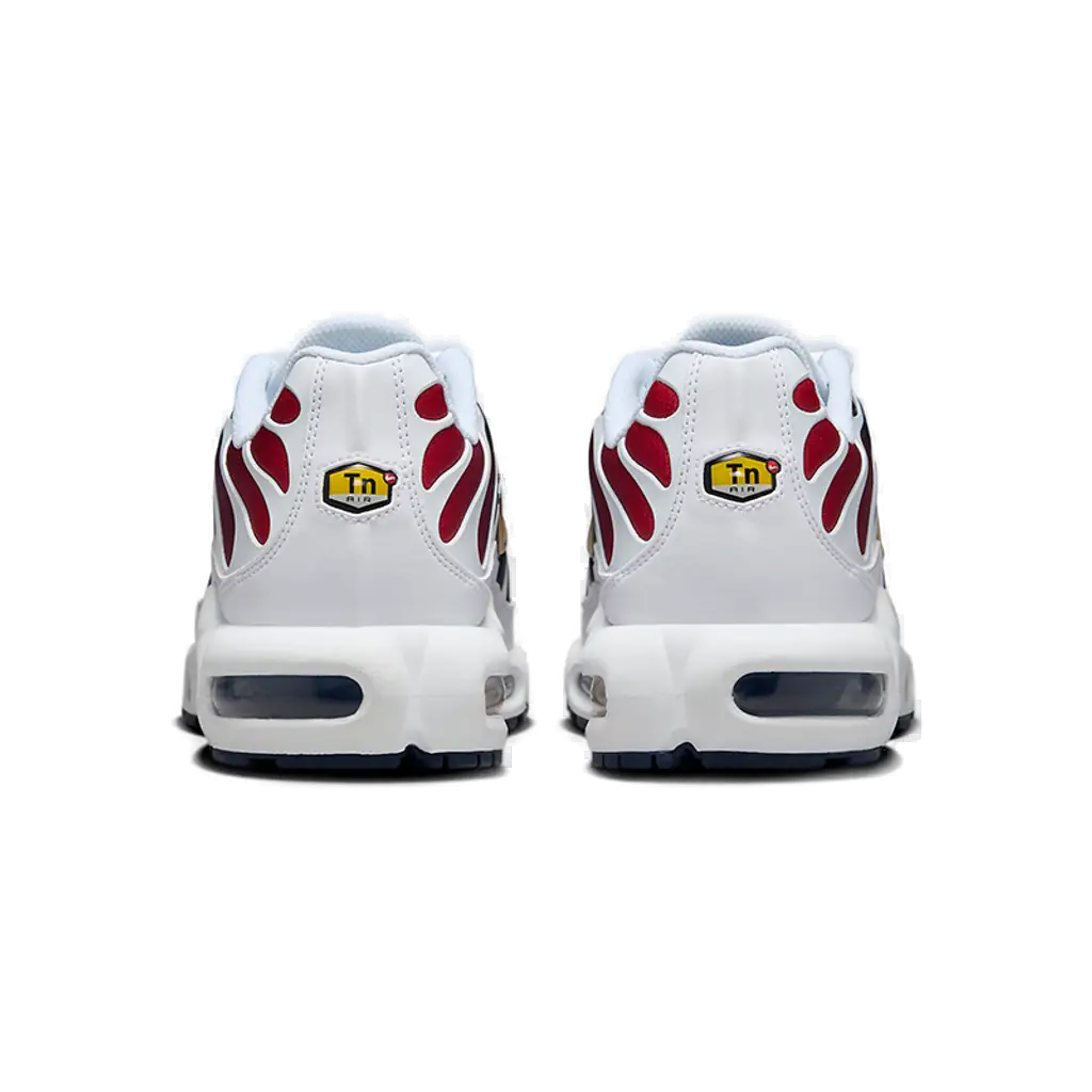 Nike Air Max Plus TN (PSG)